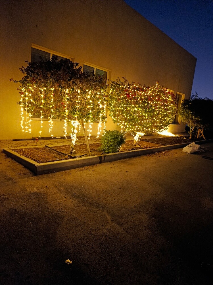 wedding lights - 6