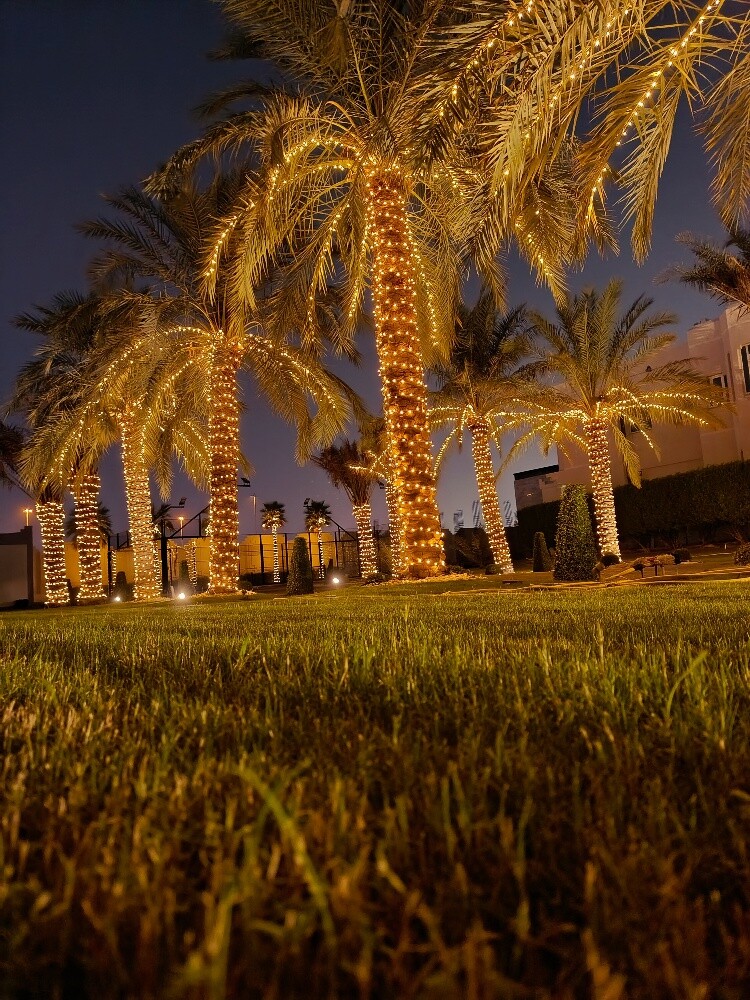 wedding lights - 5