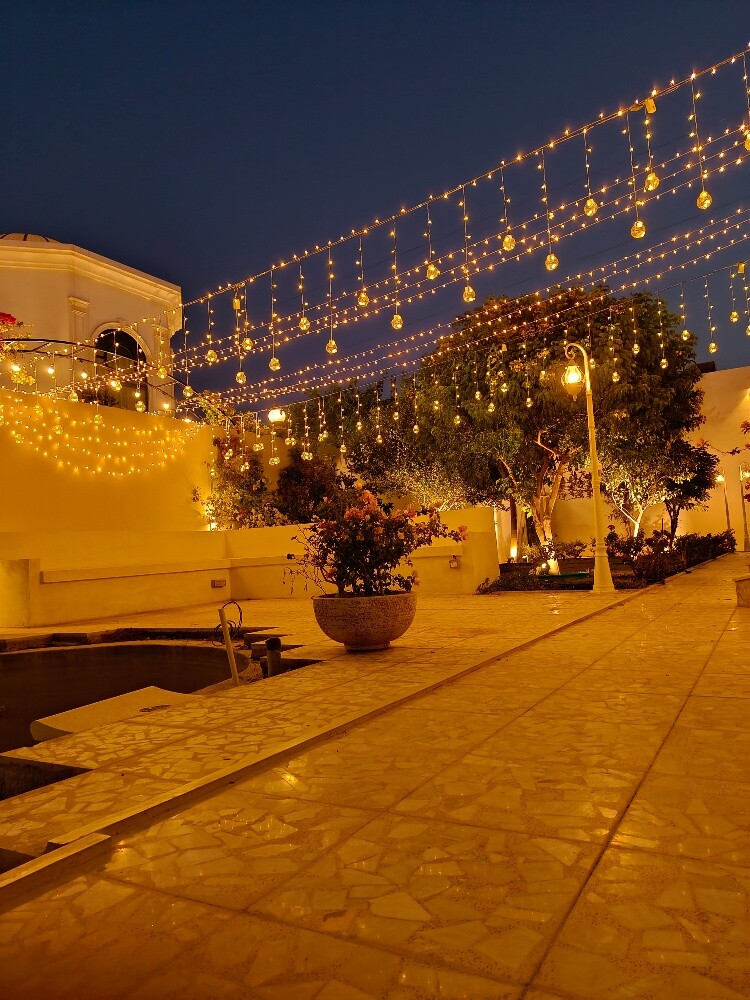 wedding lights - 13