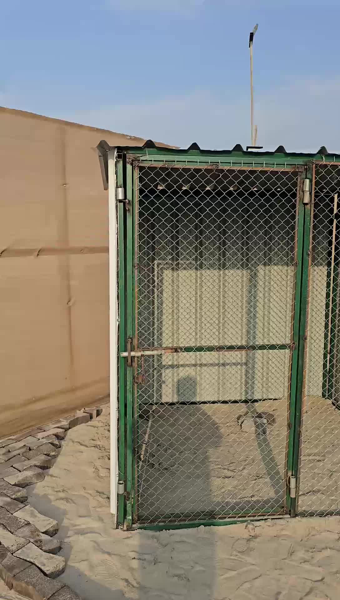 منزل القطة 2/2 - 2