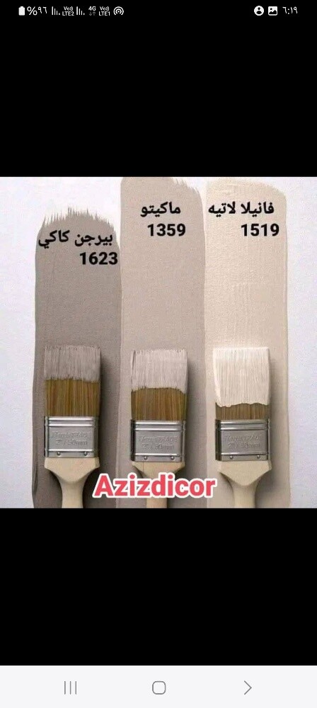الضبغ الخارجي الحديث للفلل - 6