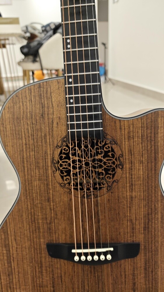 Acoustic Electric Guitar - 5