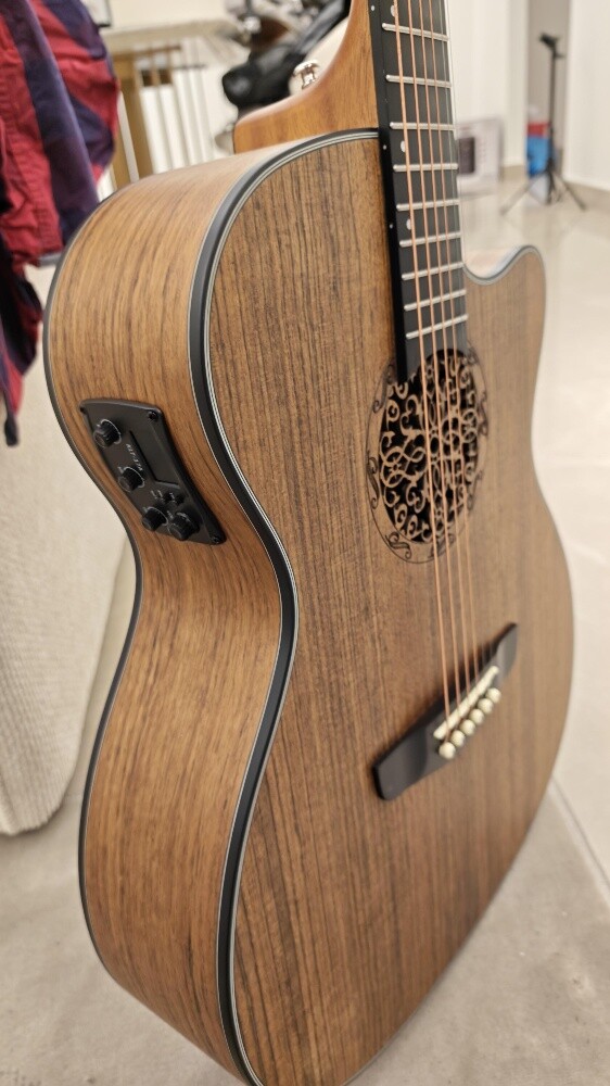 Acoustic Electric Guitar - 7