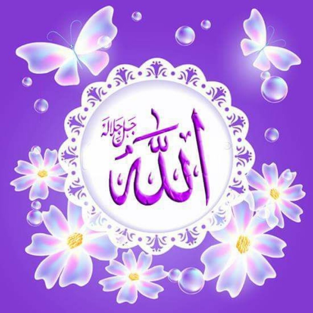 سواق ابحث عن عمل - 2