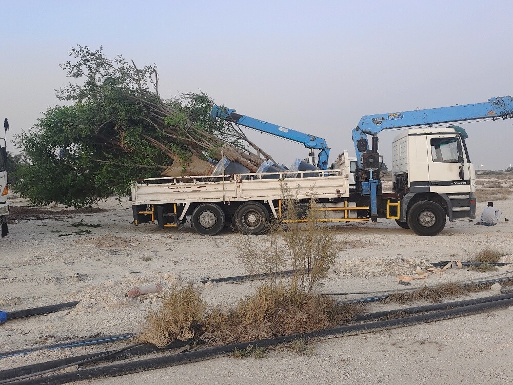 boom truck for the rent 5 ton 7 ton 10 ton - 1