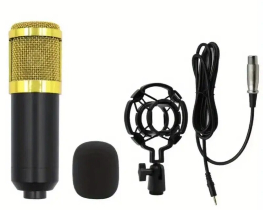 Microphone + Headphones - 1