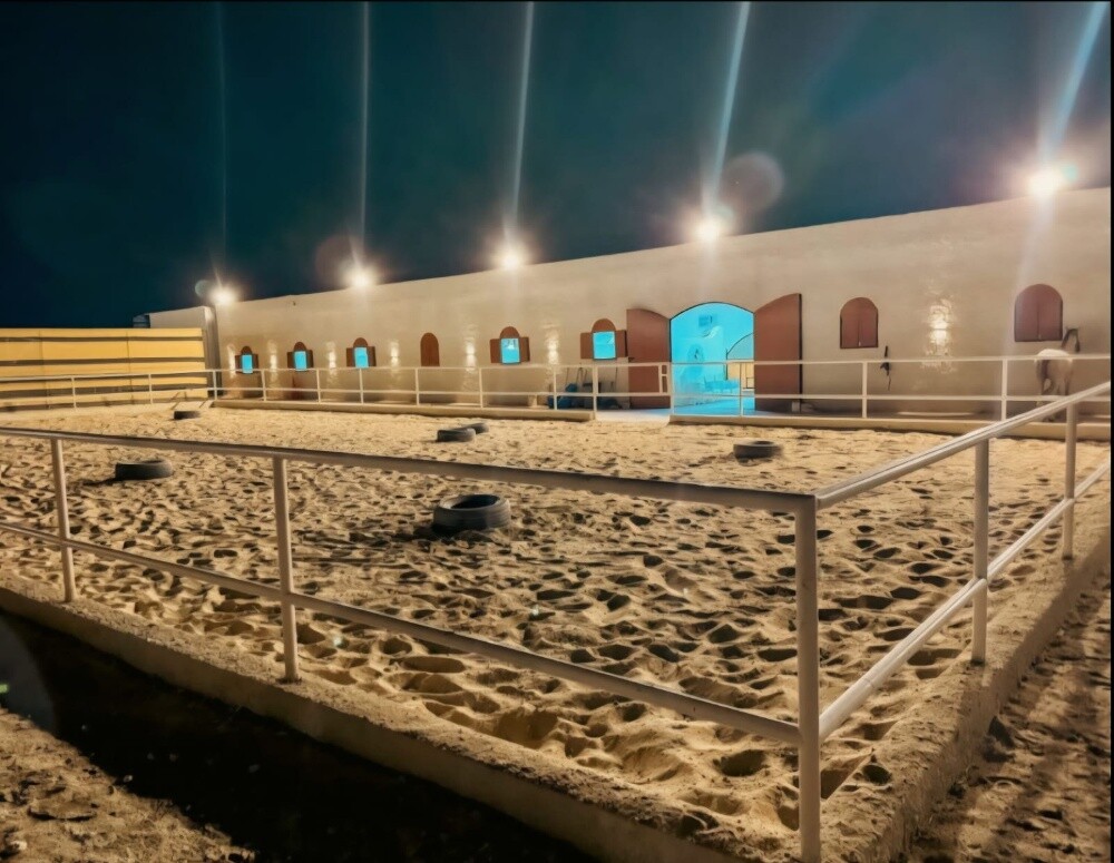 اسطبلات خيل - 11