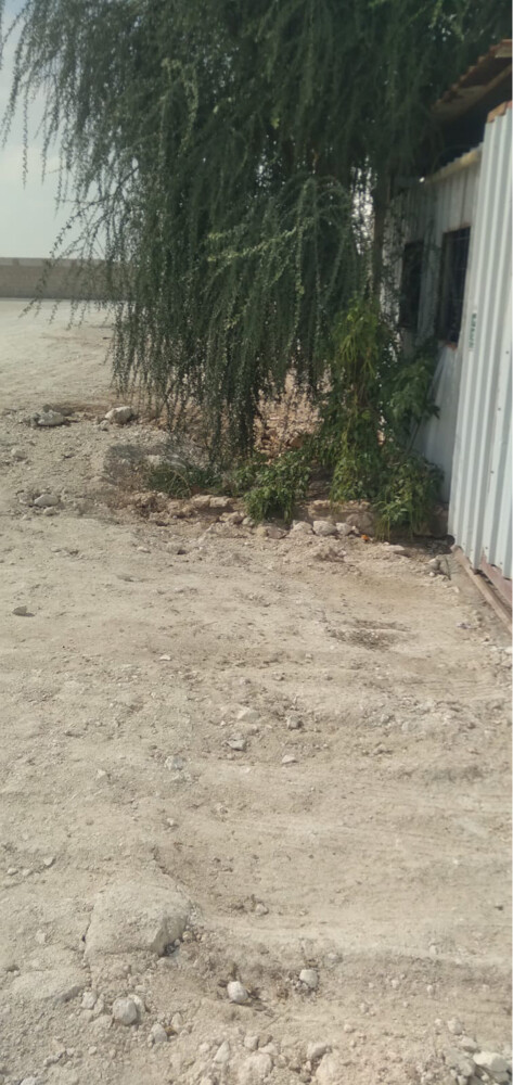 عزبة للبيع مجمع سمسمه  - 3