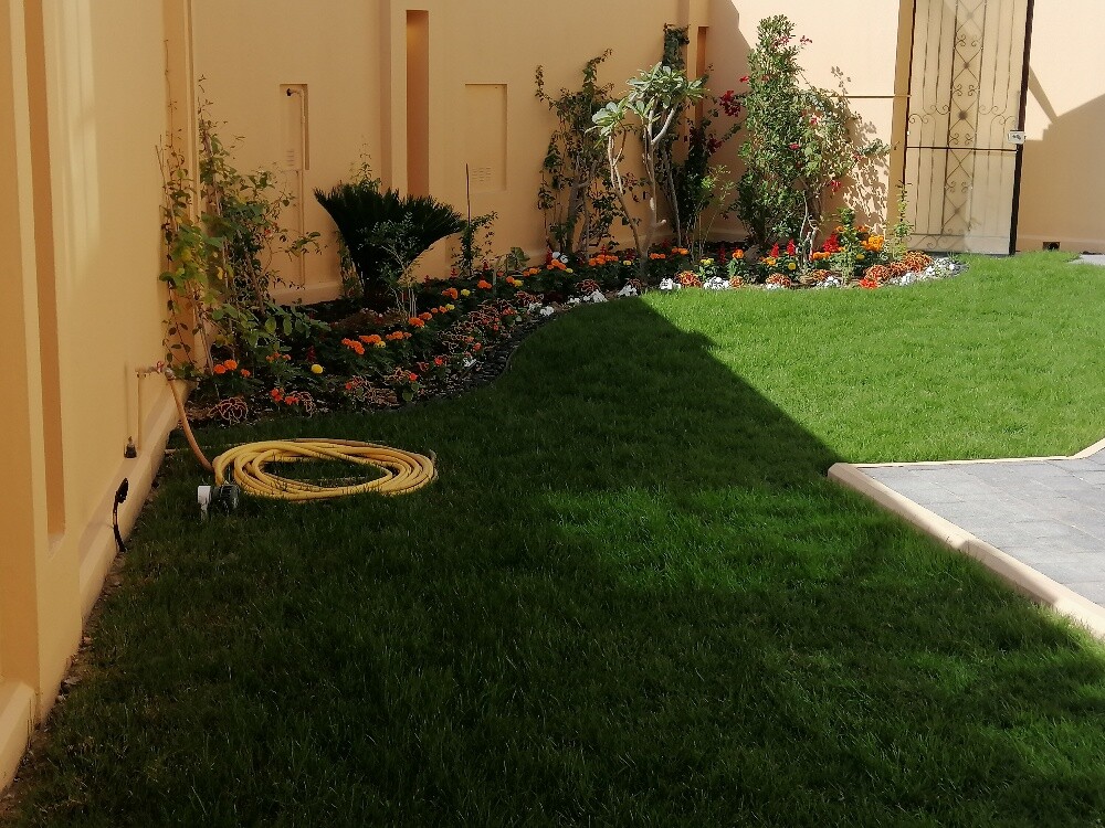 أعمال زراعة وشبكات ري - 13