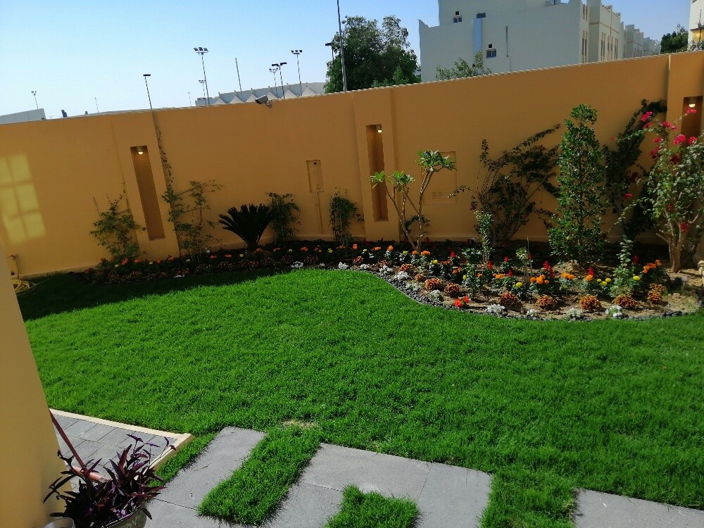 أعمال زراعة وشبكات ري - 1