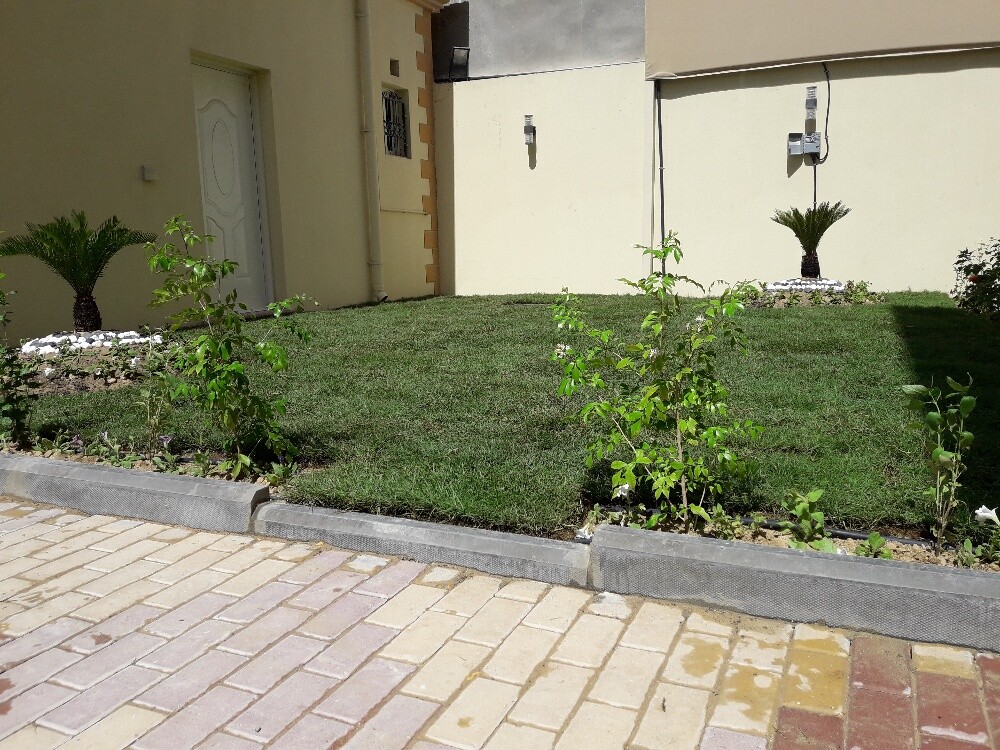 أعمال زراعة وشبكات ري - 3