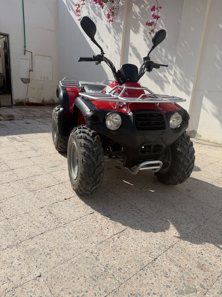 للبيع - 5