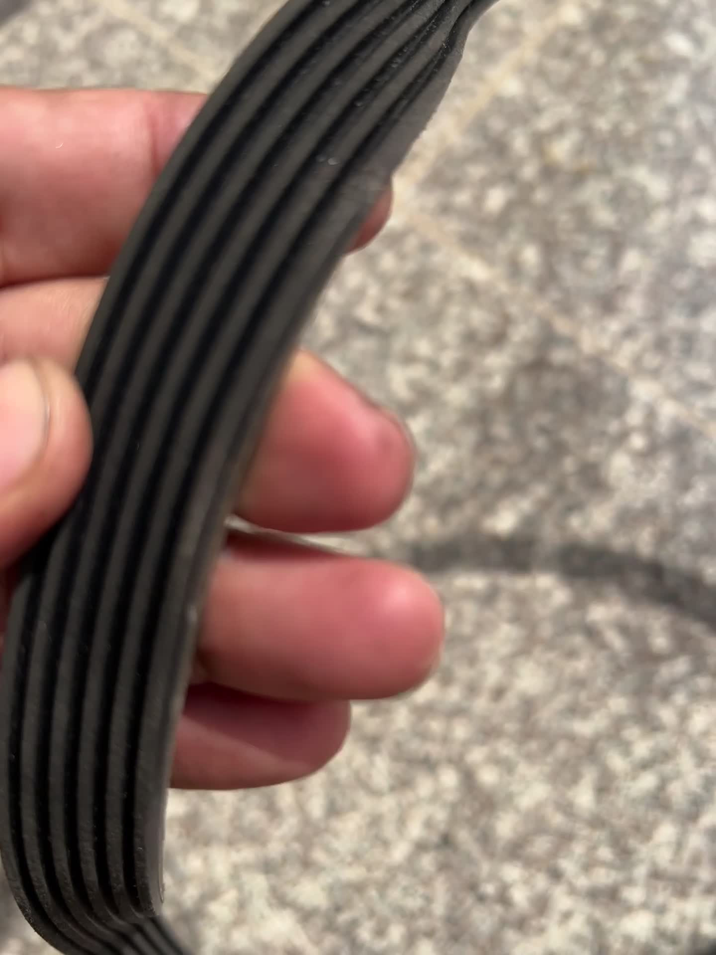 Engine Belt - 4
