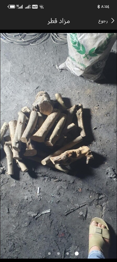 حطب سمر وزيتون يونانيي - 5