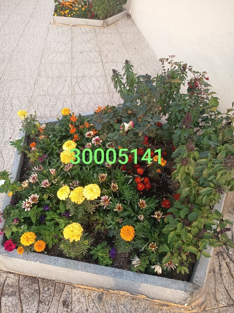 مهندس زراعي - 1