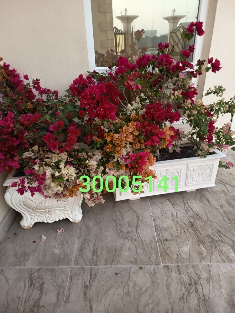 مهندس زراعي - 3