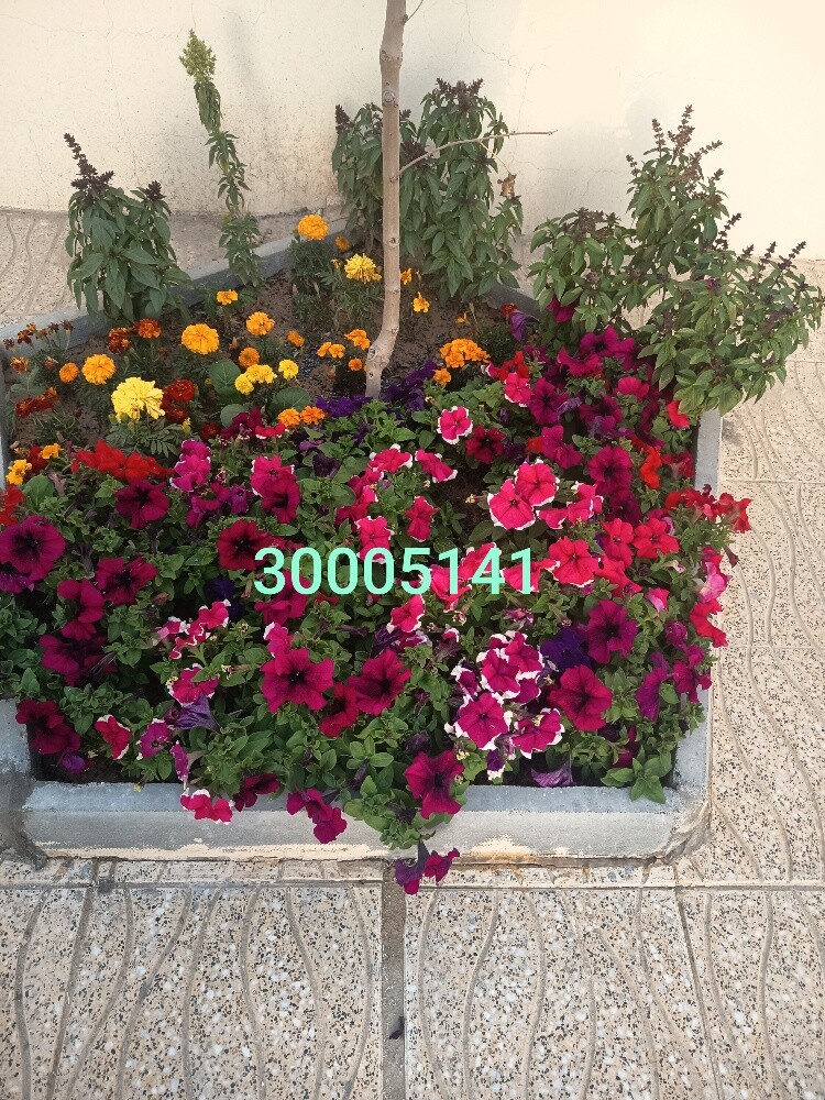 مهندس زراعي - 5