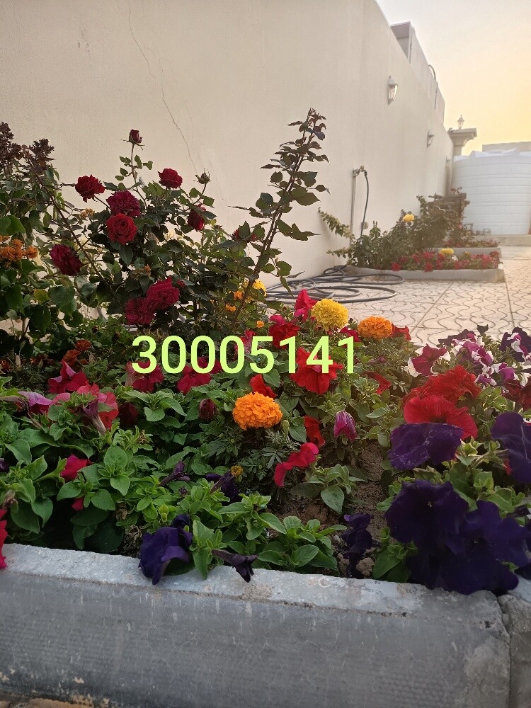 مهندس زراعي - 7