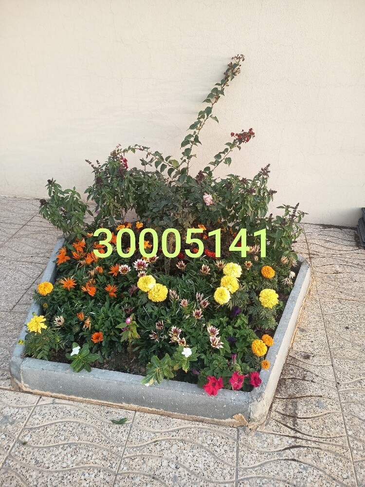 مهندس زراعي - 2