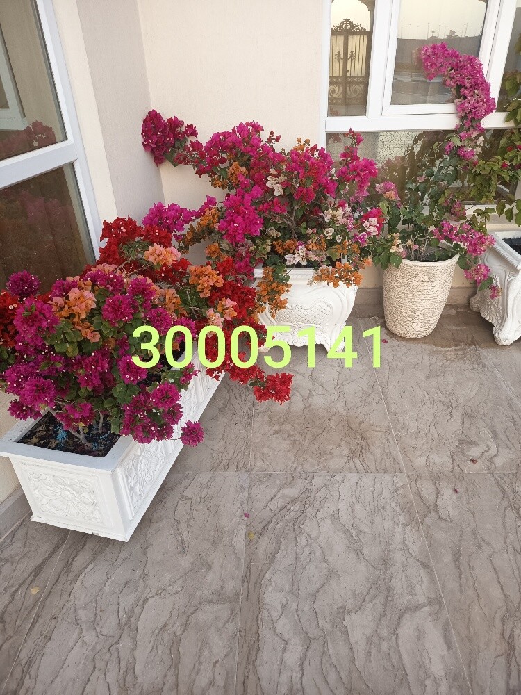 مهندس زراعي - 4