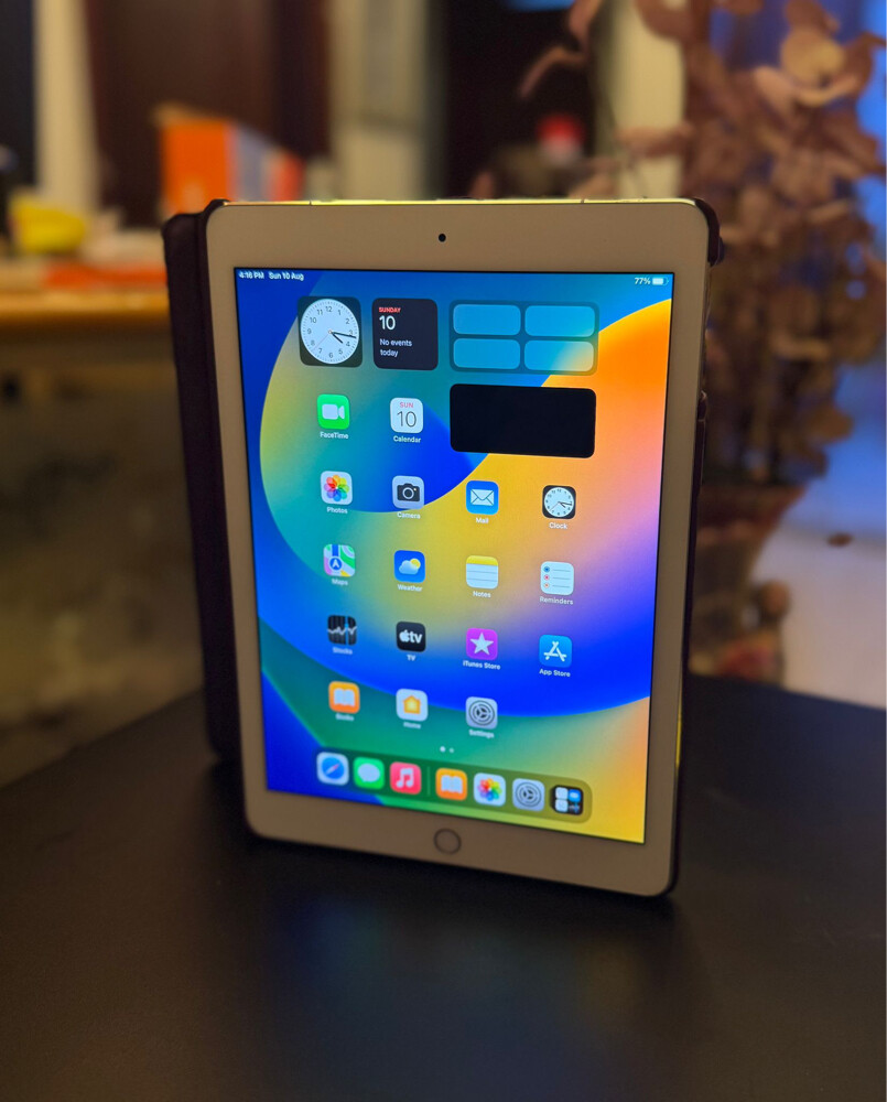 iPad Pro original USA - 5