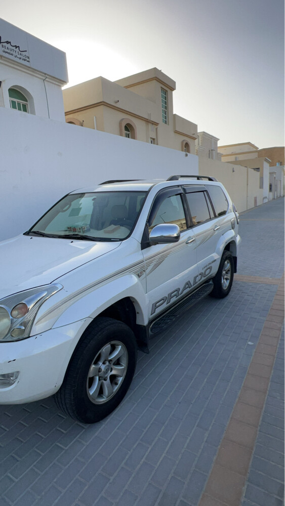 برادو - 2