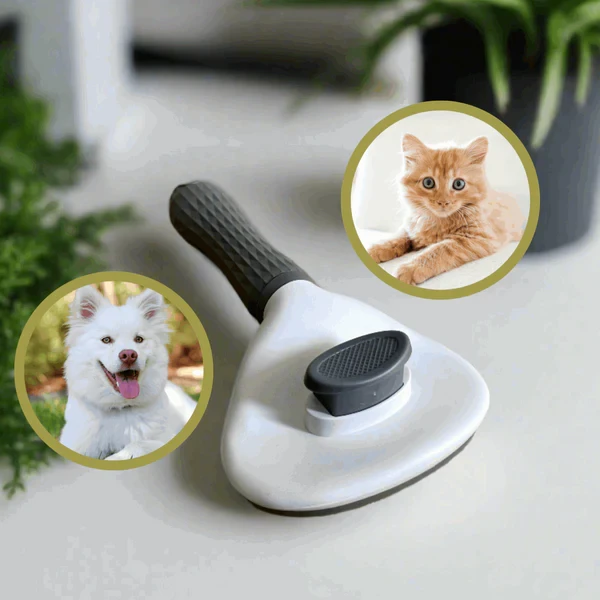 Self Cleaning Cat Brush - 4