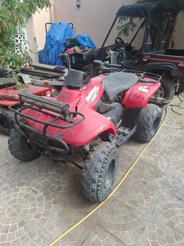 polars sale - 2