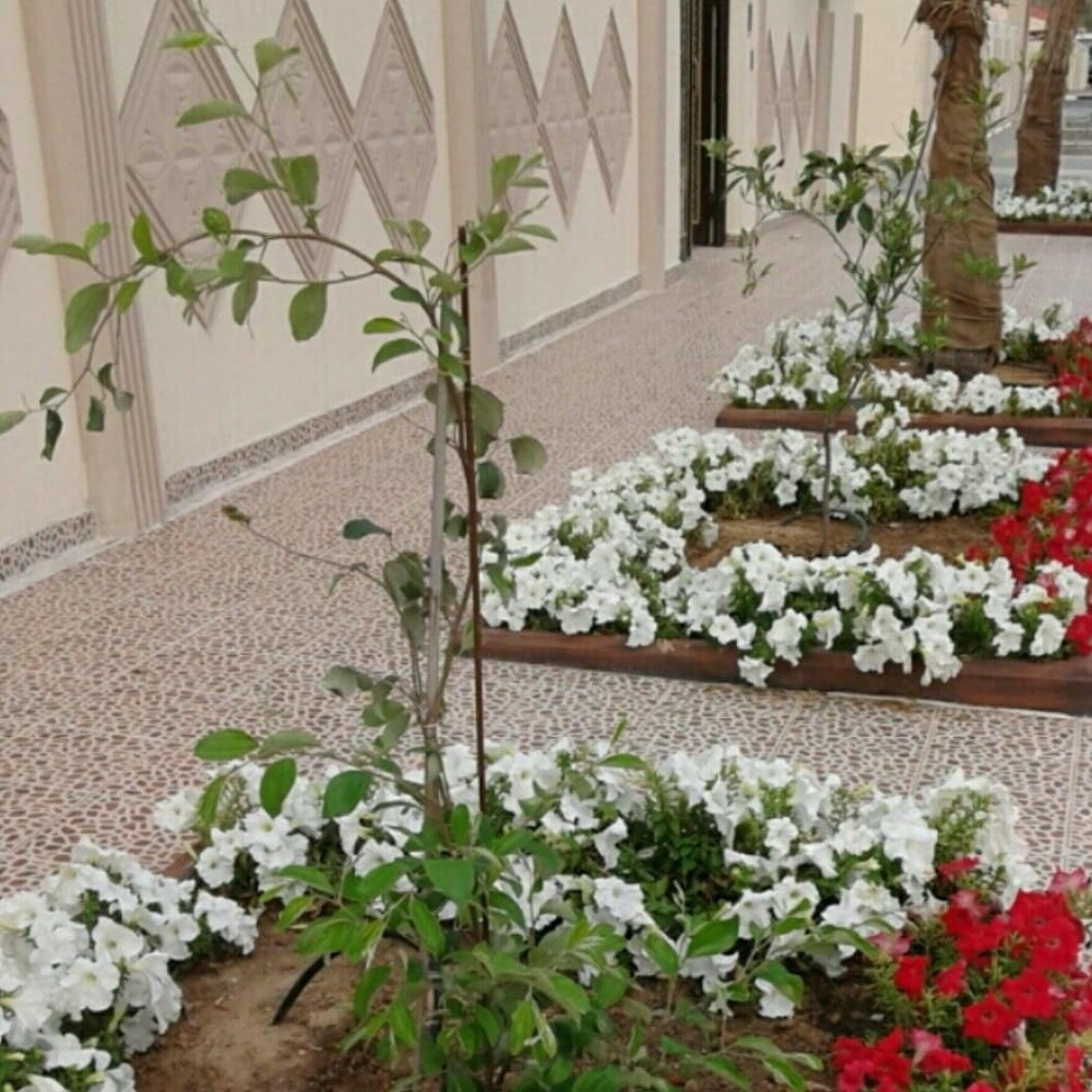 منسق ومصمم حدائق 55079950 - 3