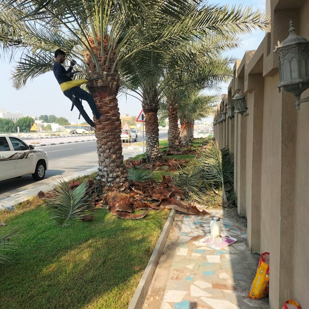 منسق ومصمم حدائق 55079950 - 7