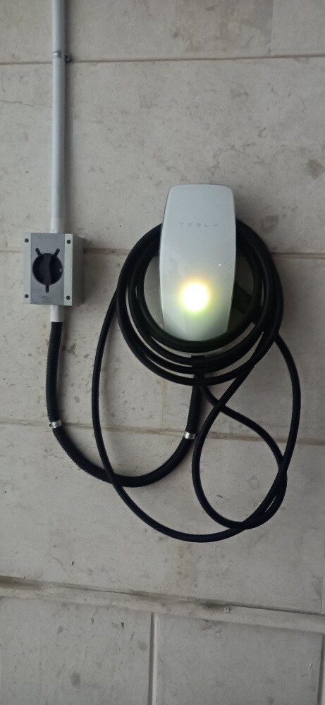 Rox, ByD,  tesla - 2