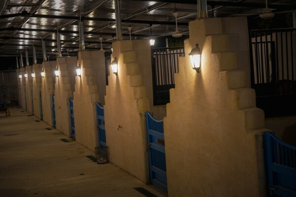 Stables For Rent Al Shahania - 6