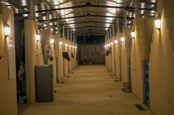 Stables For Rent Al Shahania - 1