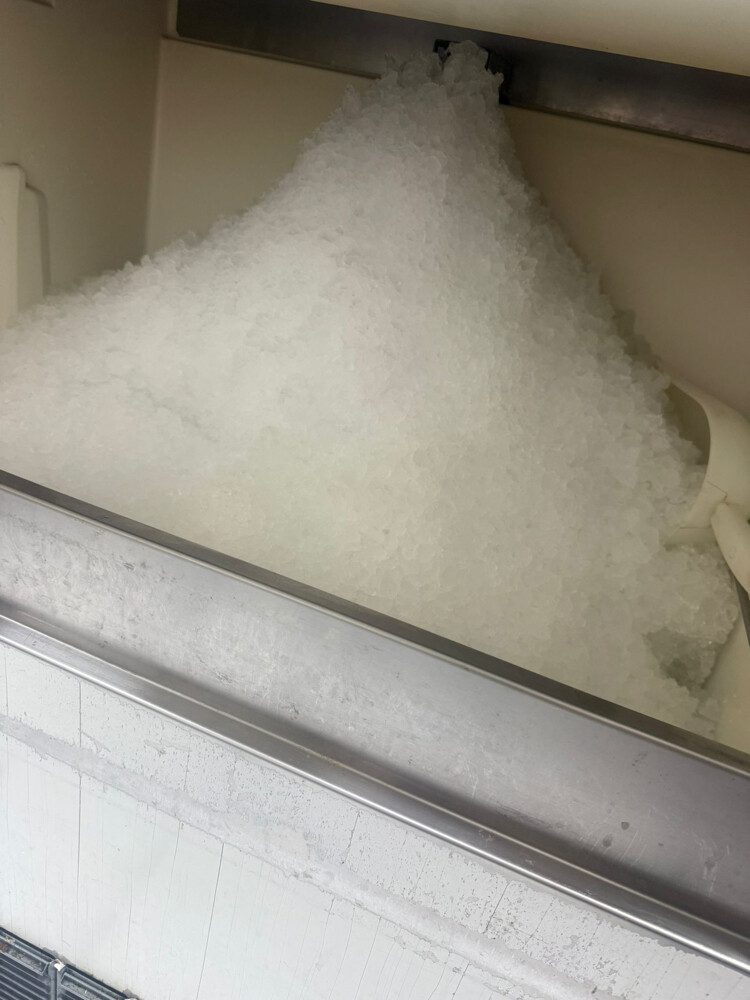 Ice maker (crushed) - 4
