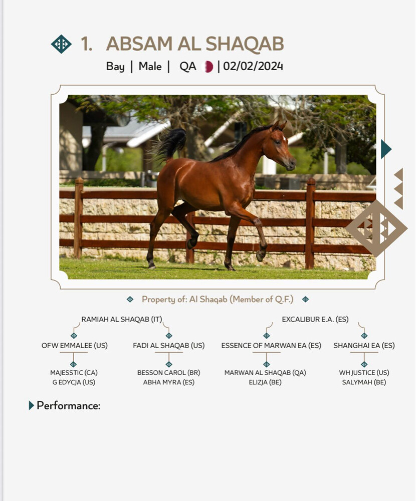 USA Racing Horses - 1