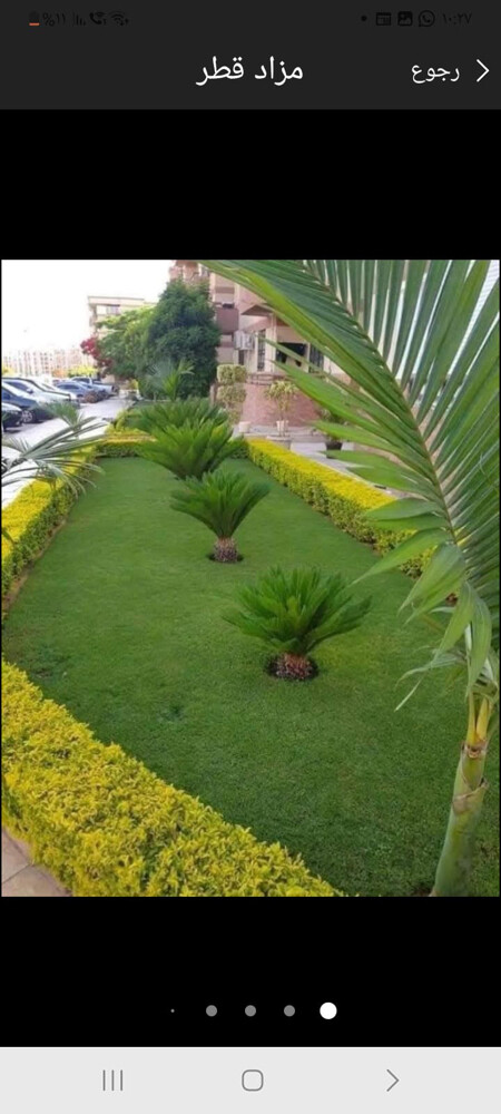 تجهيز الحدائق والصيانة الدورية - 3