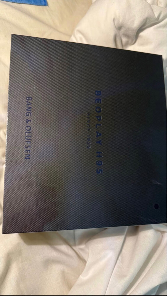 Bang & Olufsen H95 - 3
