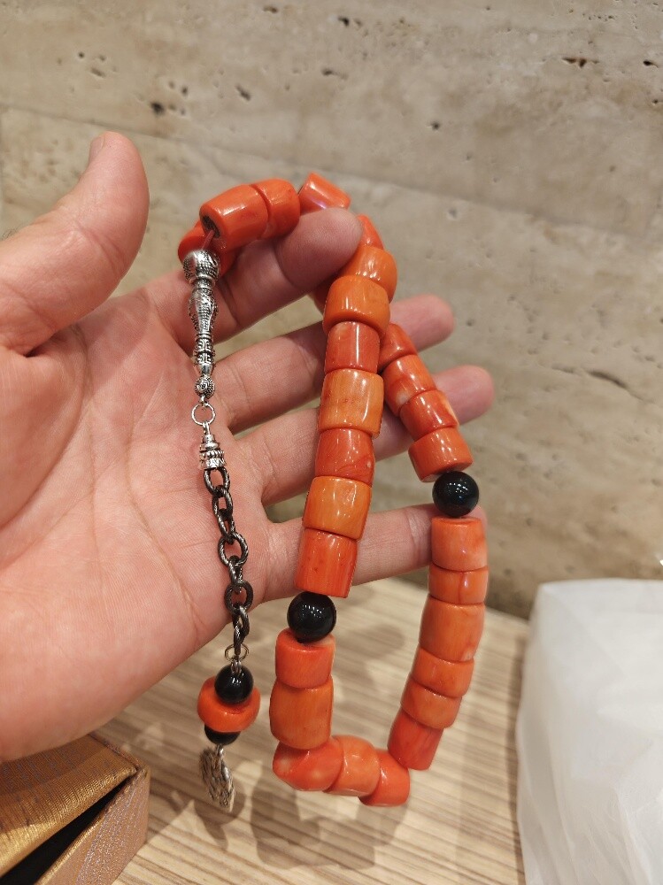 Original coral - 1