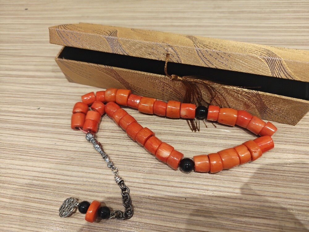 Original coral - 2