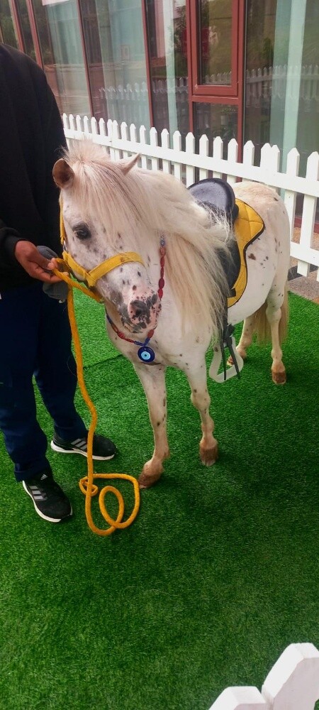 للايجار بوني للاطفال - 1