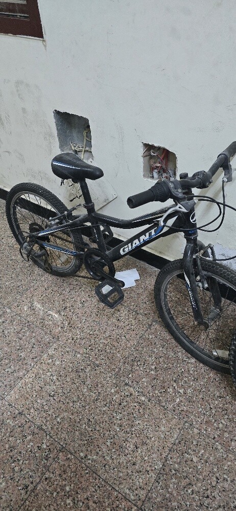 cycle Size 20 - 1