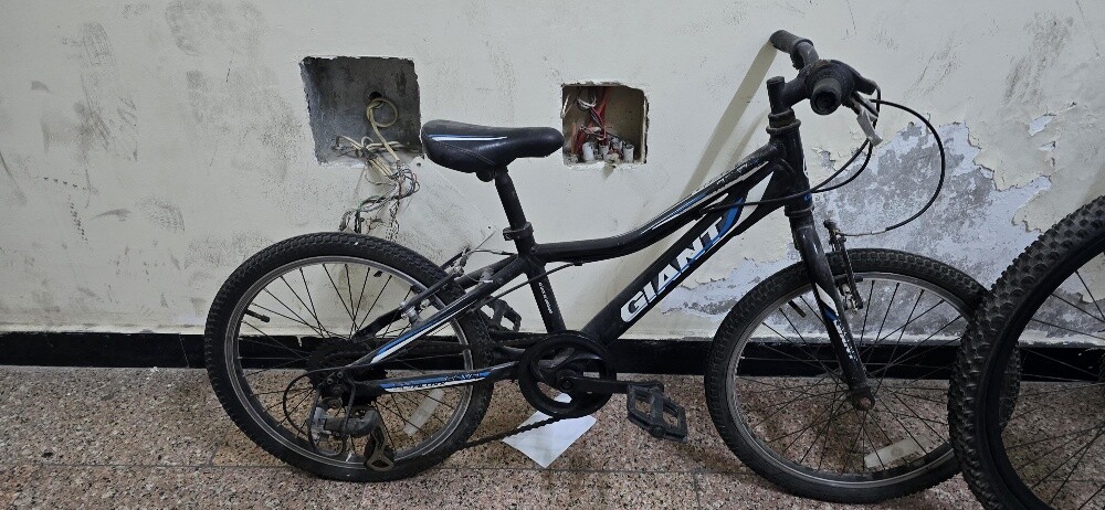 cycle Size 20 - 2