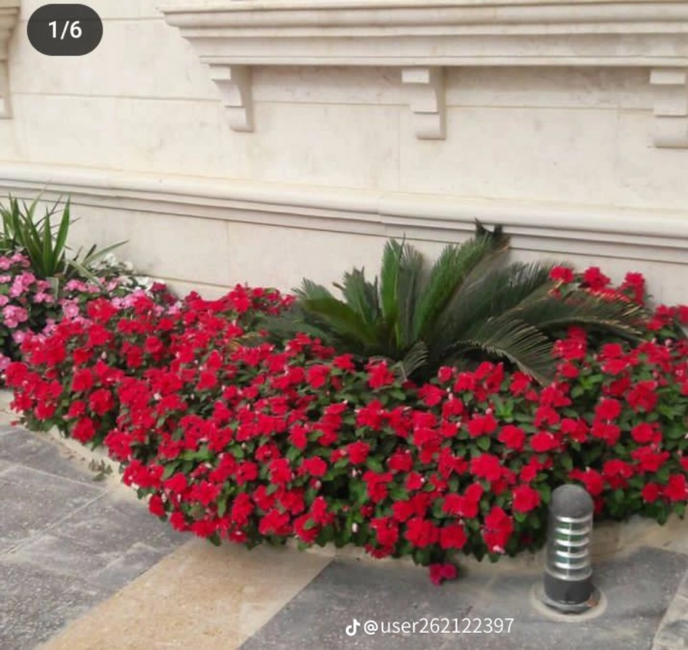 تنسيق وتصميم الحدائق وشبكات الرمي - 2