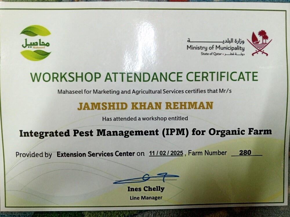 jamshid khan - 4