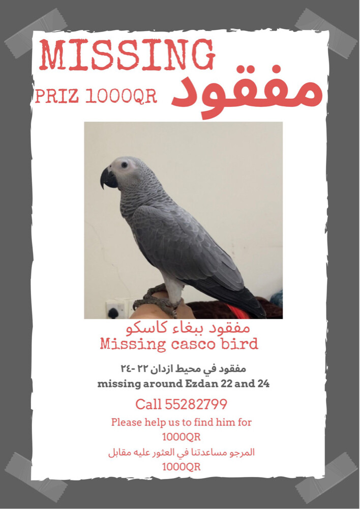 missing casco around ezdan 22-24 - 1