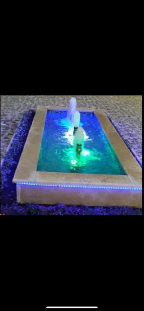 الزراعة والنخيل  - 13