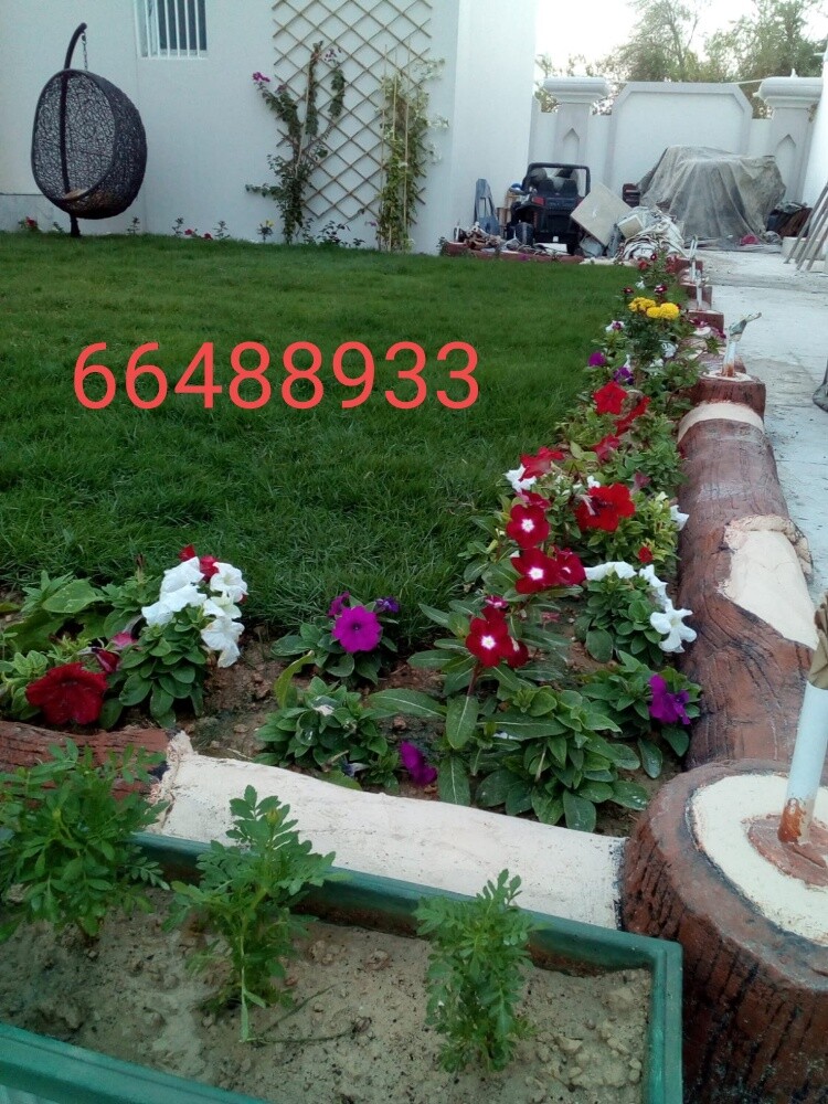 Arish gardening & agriculture - 6