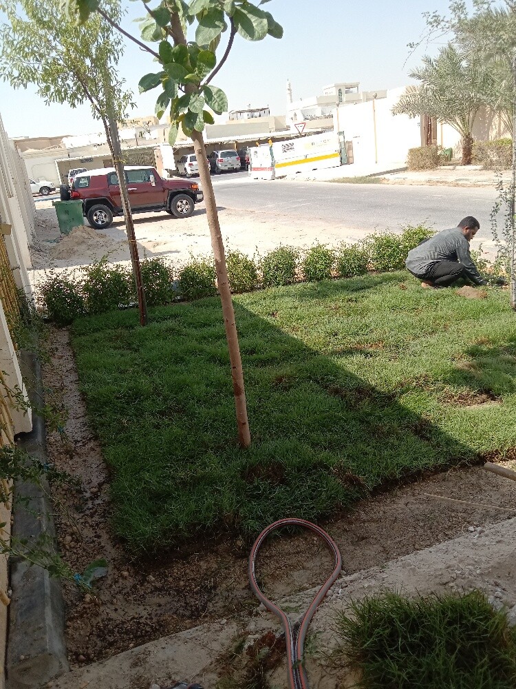 Arish gardening & agriculture - 4