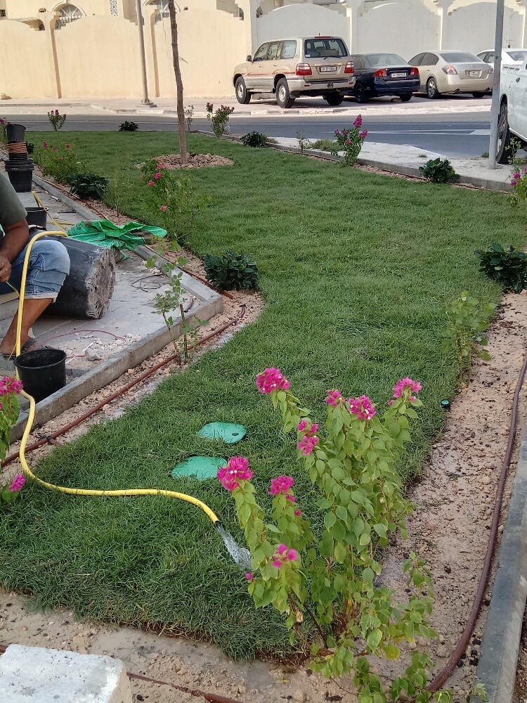 Arish gardening & agriculture - 3
