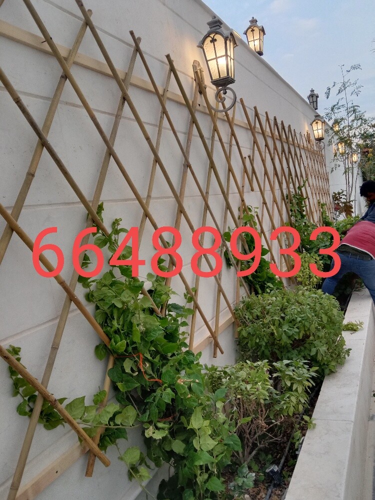 Arish gardening & agriculture - 9